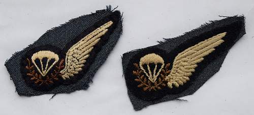 Helmet Parachutists, RAF instructors display team helmet