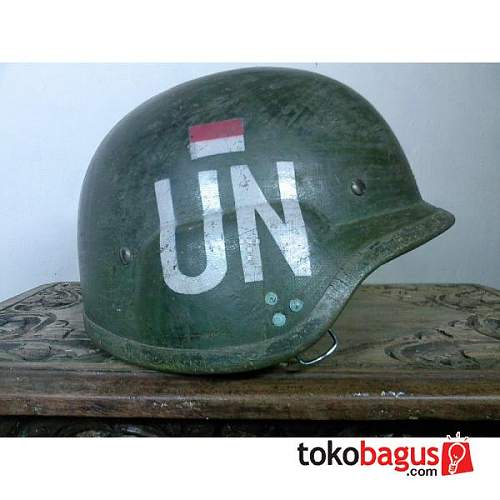 United Nations PASGT