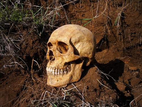 Stalingrad: digging near Gorodis&#1089;he &amp; Gumrak