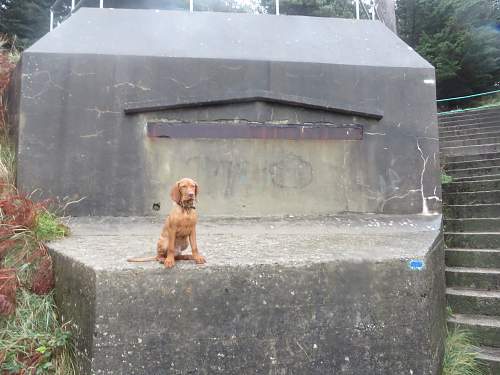 German bunkers in Jersey Channel Islands.