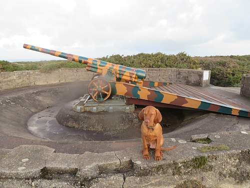 German bunkers in Jersey Channel Islands.