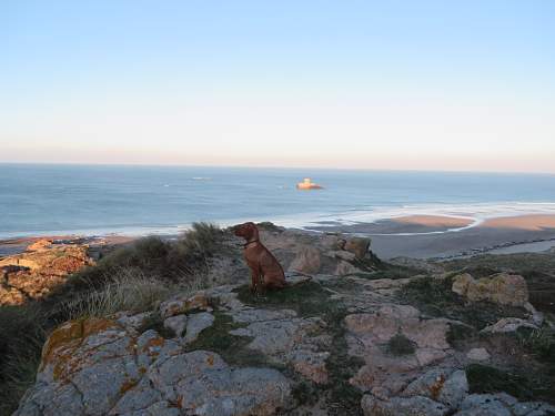 German bunkers in Jersey Channel Islands.