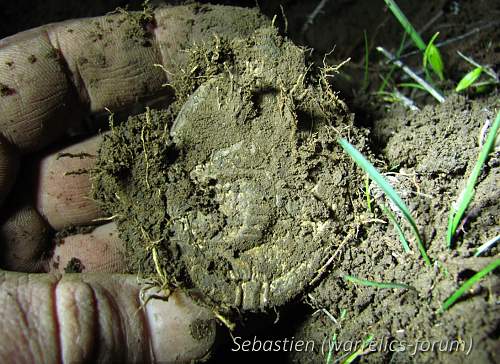 Stalingrad: digging near Gorodis&#1089;he &amp; Gumrak