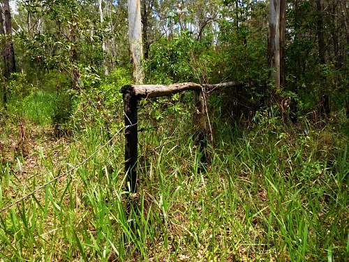 Australian  WWII - Far North  Queensland Metal detecting and  recovery