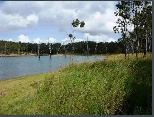 Australian  WWII - Far North  Queensland Metal detecting and  recovery