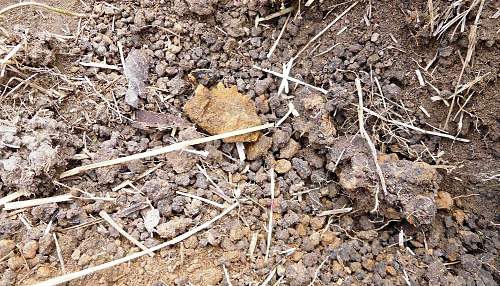 Australian  WWII - Far North  Queensland Metal detecting and  recovery