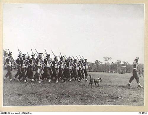 Australian  WWII - Far North  Queensland Metal detecting and  recovery