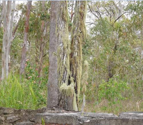 Australian  WWII - Far North  Queensland Metal detecting and  recovery