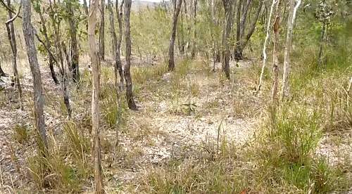 Australian  WWII - Far North  Queensland Metal detecting and  recovery