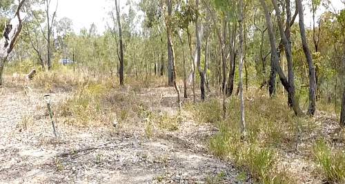 Australian  WWII - Far North  Queensland Metal detecting and  recovery