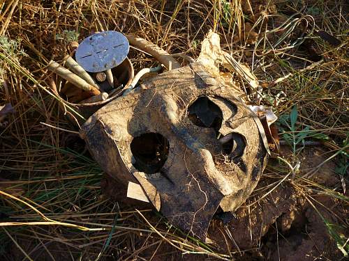 Stalingrad: digging near Gorodis&#1089;he &amp; Gumrak