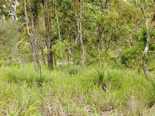 Australian  WWII - Far North  Queensland Metal detecting and  recovery