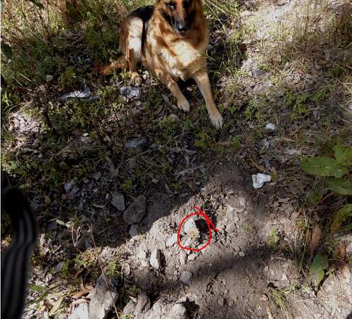 Australian  WWII - Far North  Queensland Metal detecting and  recovery