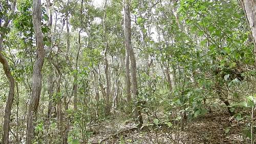 Australian  WWII - Far North  Queensland Metal detecting and  recovery