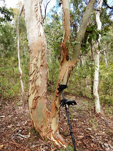 Australian  WWII - Far North  Queensland Metal detecting and  recovery