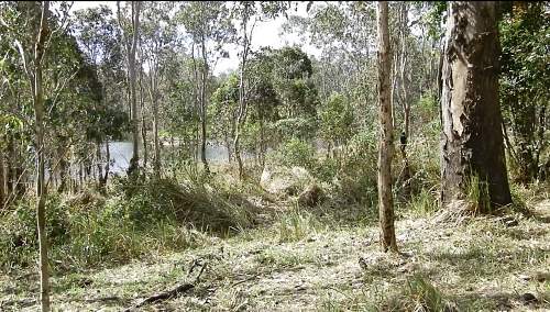 Australian  WWII - Far North  Queensland Metal detecting and  recovery