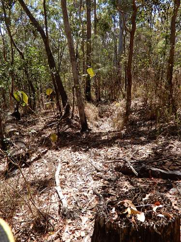 Australian  WWII - Far North  Queensland Metal detecting and  recovery