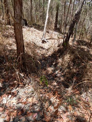 Australian  WWII - Far North  Queensland Metal detecting and  recovery