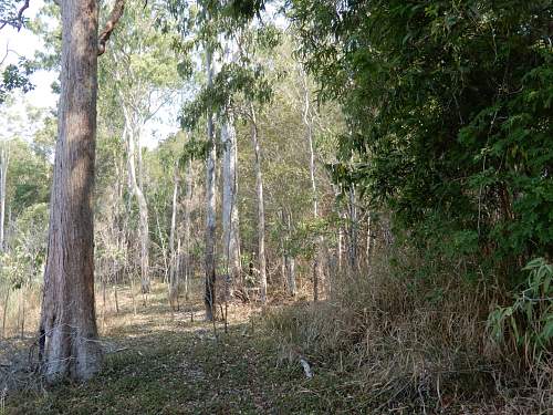 Australian  WWII - Far North  Queensland Metal detecting and  recovery