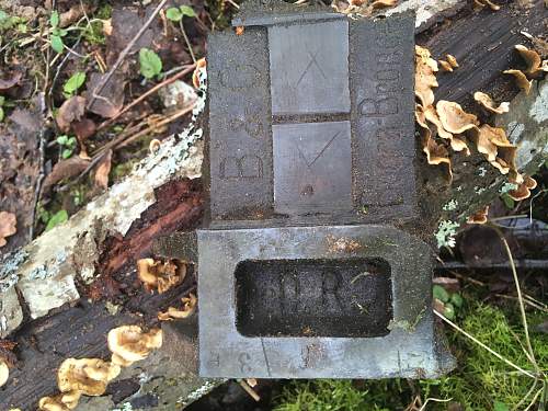 Relics of a blown up railway bridge.