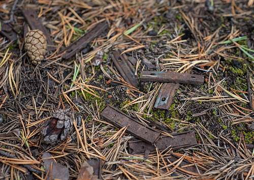 Exploring the Arctic battlefields of northern Finland