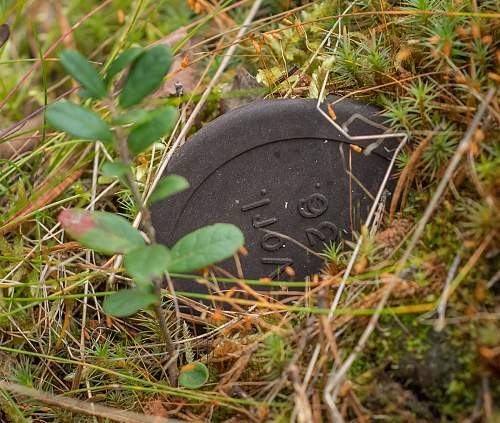 Exploring the Arctic battlefields of northern Finland