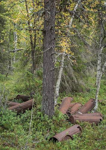 Exploring the Arctic battlefields of northern Finland