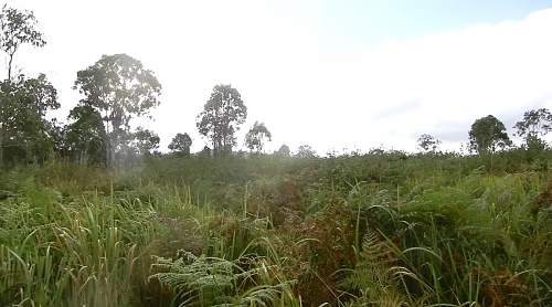 Australian  WWII - Far North  Queensland Metal detecting and  recovery