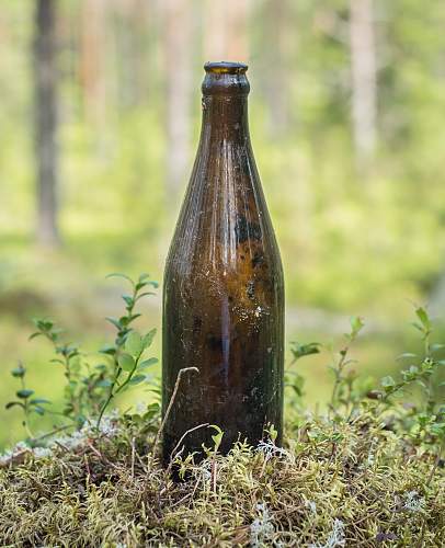 Exploring the Arctic battlefields of northern Finland