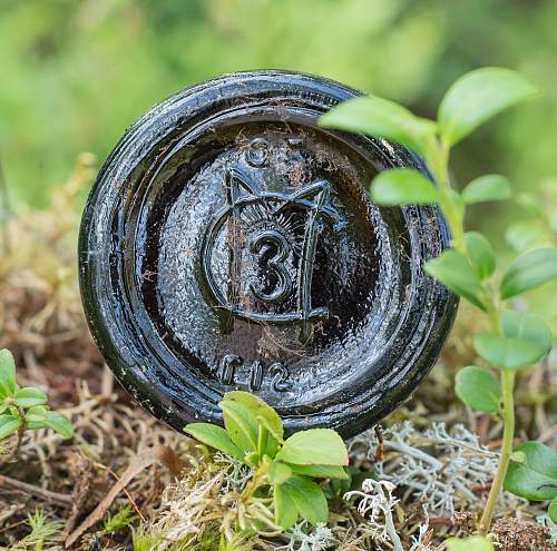 Exploring the Arctic battlefields of northern Finland