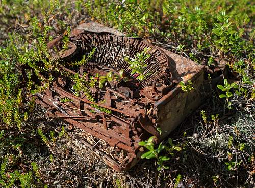 Exploring the Arctic battlefields of northern Finland