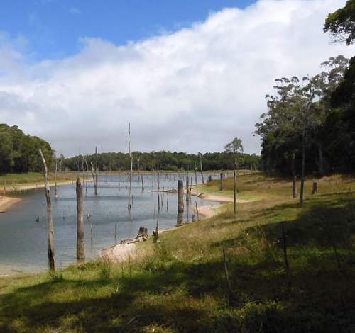 Australian  WWII - Far North  Queensland Metal detecting and  recovery