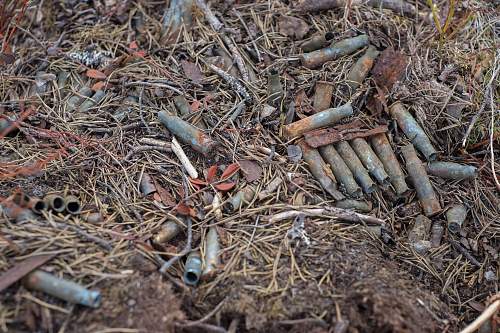 Exploring the Arctic battlefields of northern Finland