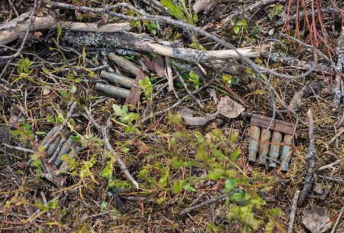 Exploring the Arctic battlefields of northern Finland