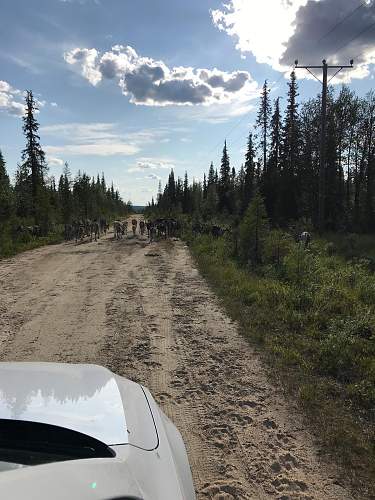 Exploring the Arctic battlefields of northern Finland