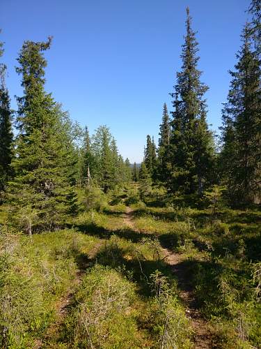 Exploring the Arctic battlefields of northern Finland