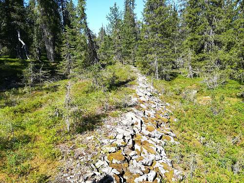 Exploring the Arctic battlefields of northern Finland