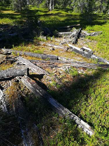 Exploring the Arctic battlefields of northern Finland