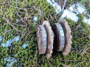 Enigma found by divers in the Baltic Sea