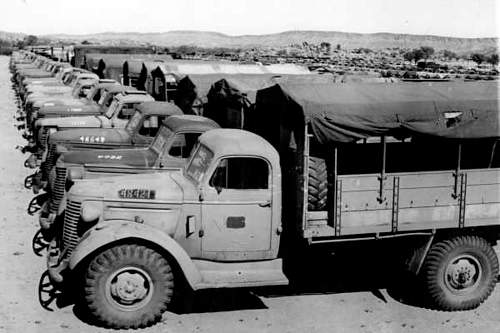 Australian  WWII - Far North  Queensland Metal detecting and  recovery