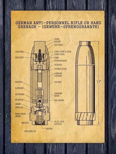 Grenades (ammunition) of the First and Second World War. View from the inside