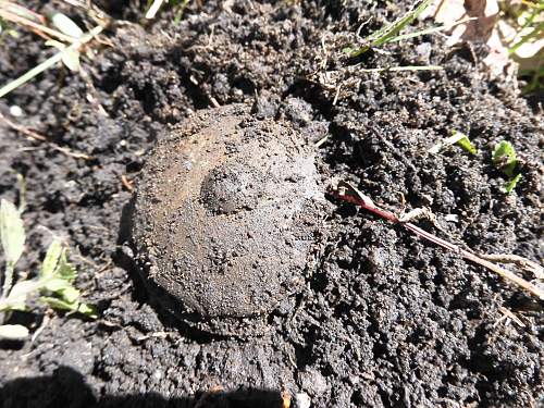 Australian  WWII - Far North  Queensland Metal detecting and  recovery