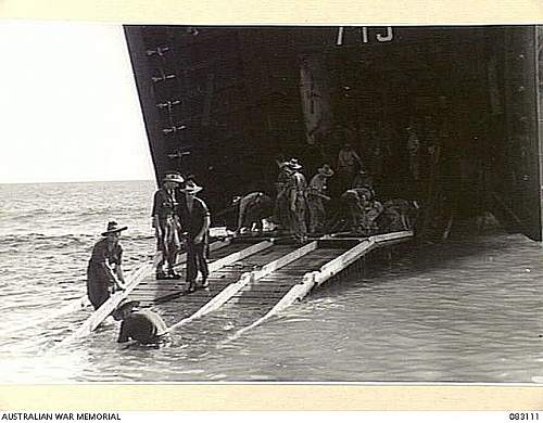 Australian  WWII - Far North  Queensland Metal detecting and  recovery