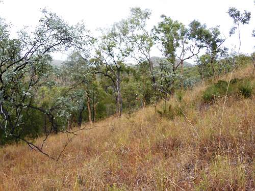 Australian  WWII - Far North  Queensland Metal detecting and  recovery