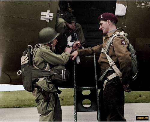 Military Colourised Photos