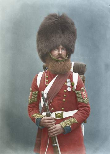 Military Colourised Photos