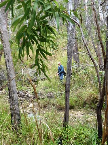 Australian  WWII - Far North  Queensland Metal detecting and  recovery