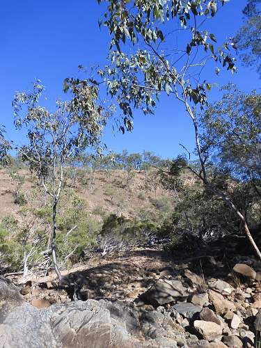 Australian  WWII - Far North  Queensland Metal detecting and  recovery