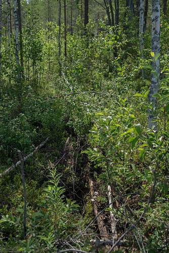 Exploring the Arctic battlefields of northern Finland