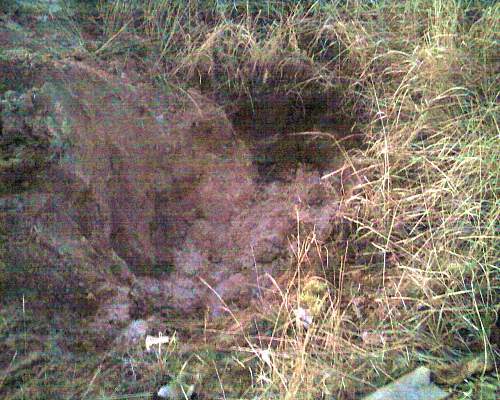 Stalingrad: digging near Gorodis&#1089;he &amp; Gumrak